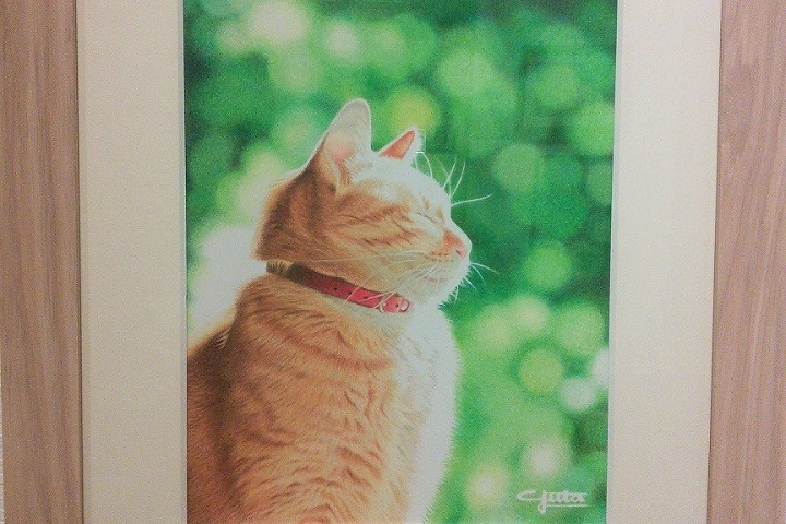 『funny cats』展