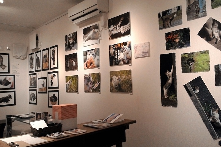 「ねこの写真展」…猫のまま展…