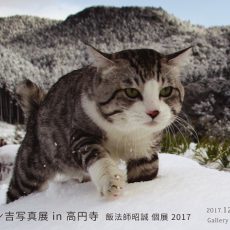 12月個展のご案内(高円寺)