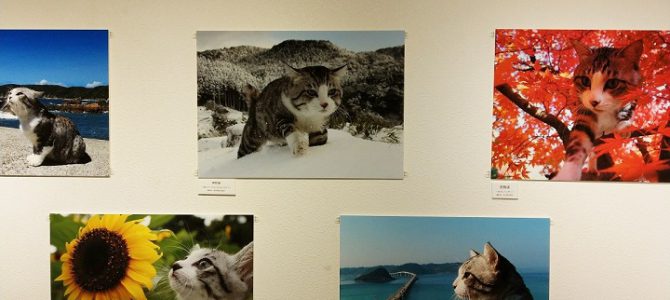 旅猫ニャン吉写真展