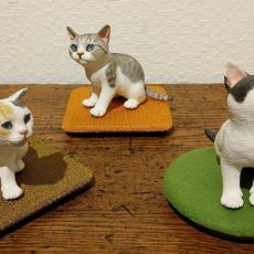ねこ初め2018