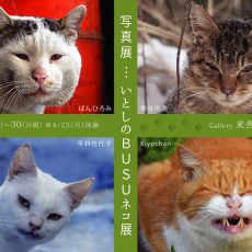 写真展…いとしのBUSUネコ展