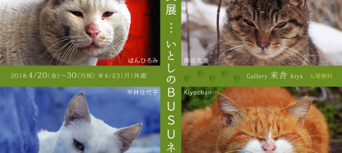 写真展…いとしのBUSUネコ展