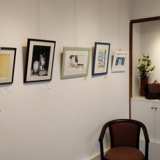 6月から7月の通常展示(梅猫庵)