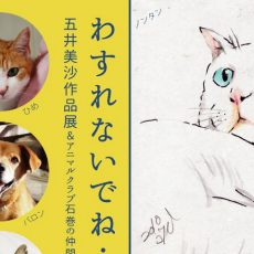 8月企画展のご案内(梅猫庵)