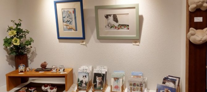 10月の通常展示(梅猫庵)