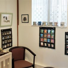4月の通常展示(梅猫庵)