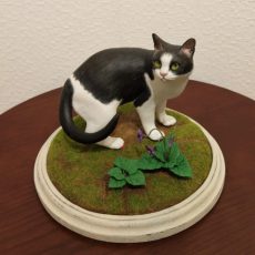 ねこ集い ねこ集い