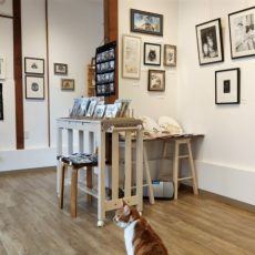 7月～9月の通常展示(梅猫庵)