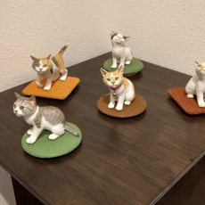 11月の通常展示(梅猫庵)