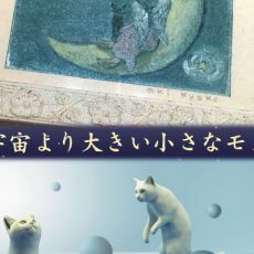 彬香子・細山田匡宏 二人展 宇宙より大きい小さなモノ 彬香子・細山田匡宏 二人展 宇宙より大きい小さなモノ