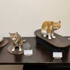 松本正行個展『のらの肖像』通販用作品リスト 松本正行個展『のらの肖像』通販用作品リスト