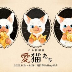 愛猫たち(高円寺レンタル)