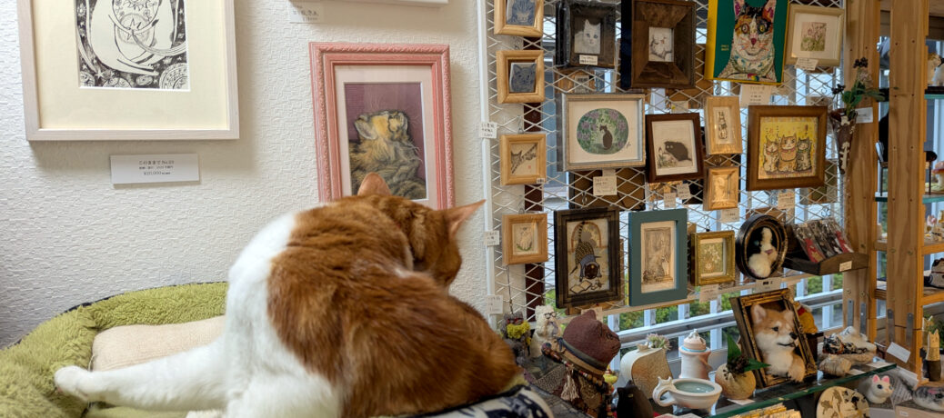 7月～8月通常展示のご案内