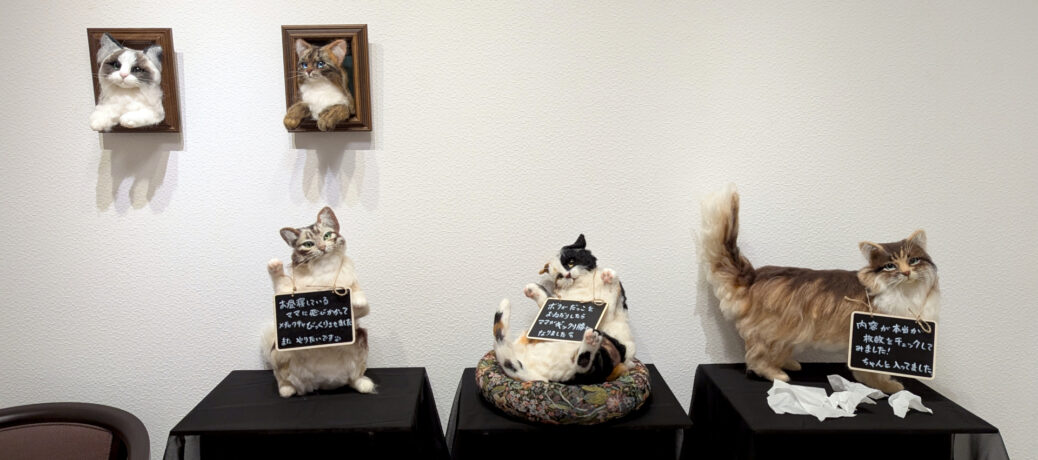 乃澤叶子展『新 猫進化論』