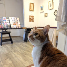 2月通常展示のお知らせ 2月通常展示のお知らせ